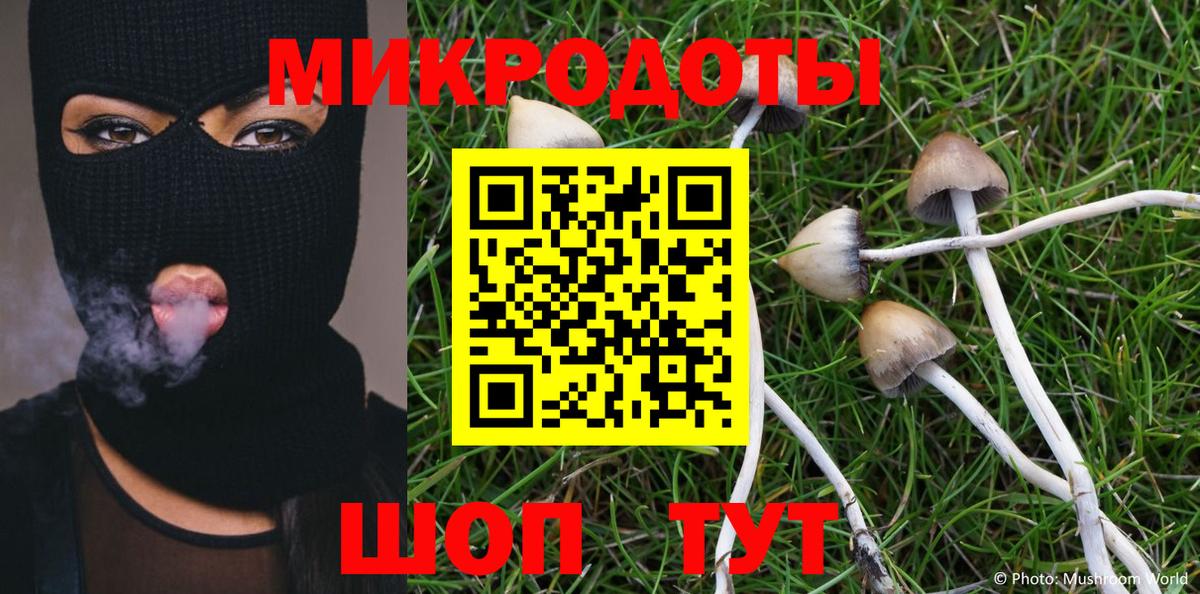 Галлюциногенные грибы GOLDEN TEACHER Лысьва