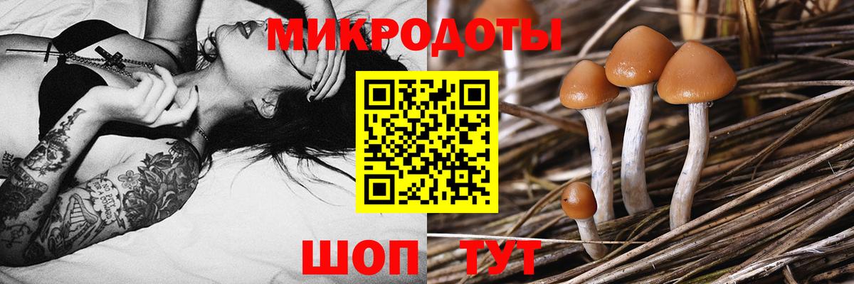 Псилоцибиновые грибы Cubensis  Вход с VPN  Лысьва 